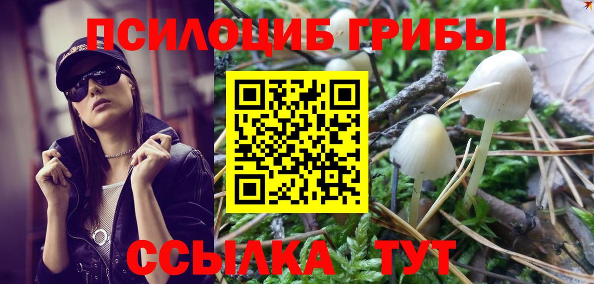 Гусиноозёрск  Псилоцибиновые грибы ЛСД  Вход с VPN  Галлюциногенные грибы ЛСД 